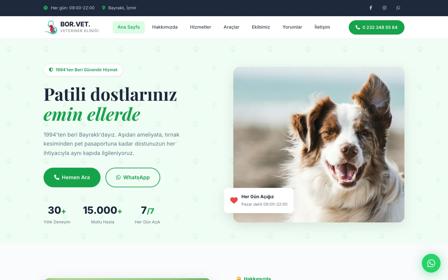 Borvet Veteriner Kliniği Web Sitesi