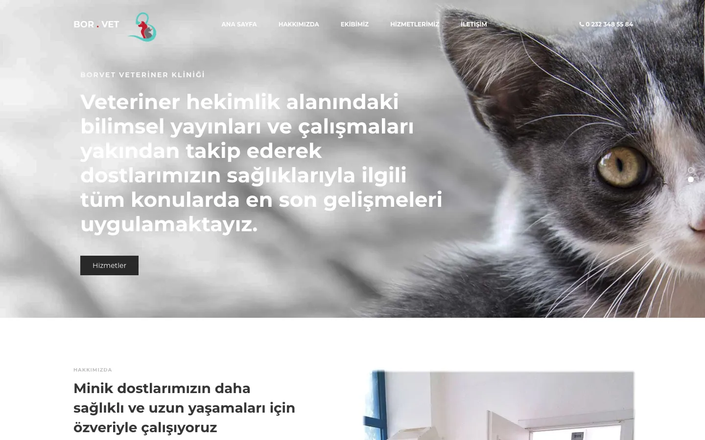Borvet Veteriner Kliniği — Kurumsal Web Sitesi Yenileme