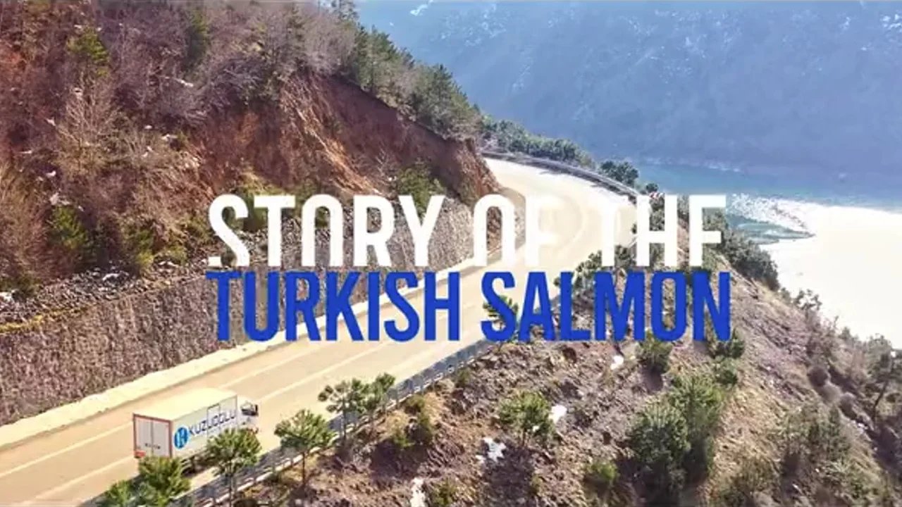 Kuzuoğlu Fish Factory · Factory Commercial